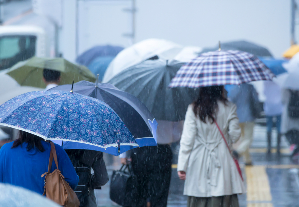 Tokyo,Commuting,·,Rainy,Day,·,June